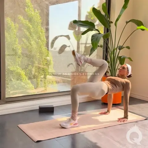 Reverse Plank Knee Drive